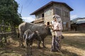 Burmese senior woman treating her water buffaloesÃ¢â¬â¢ skin with oil